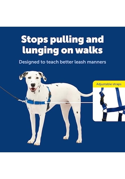Easy Walk No-pull Köpek Koşum Takımı - Çekmeyi Durdurmaya Yardımcı Olacak Nihai Koşum Takımı - Kontrolü Ele A Genel