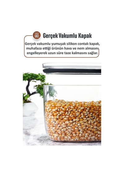 Jumbo Boy 2100 Ml Vakumlu Silikon Kapaklı Saklama Kabı Seti, Şeffaf Diğer