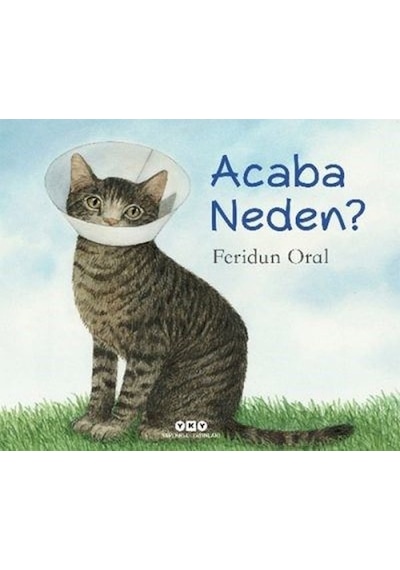Acaba Neden? (Karton Kapak) / Feridun Oral