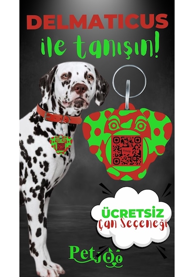 Petjoo 28.Delmaticus Yeşil-Kırmızı Qr'lı Köpek Künyesi
