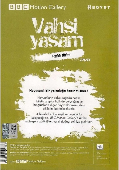 Bbc Motion Gallery - Vahşi Yaşam Farklı Türler Çeteler Ve Gruplar Krallar Ve Kraliçeler - Dvd