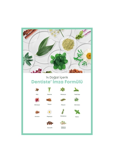 Dentiste Andrographis Paniculata Diş Ve Diş Etlerinde Tam Koruma Diş Macunu 40gr. Tam Koruma