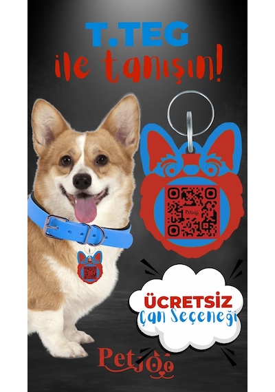 Petjoo 15.T.Teg Kırmızı-Mavi Qr'lı Köpek Künyesi