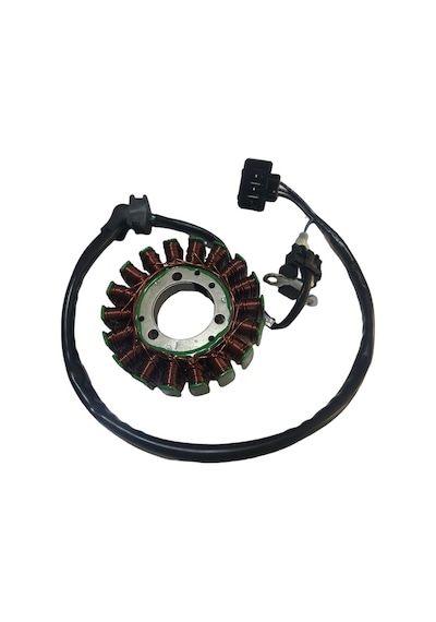 Statör Alternatör Cf Moto Nk 250 Or.  (552263436)