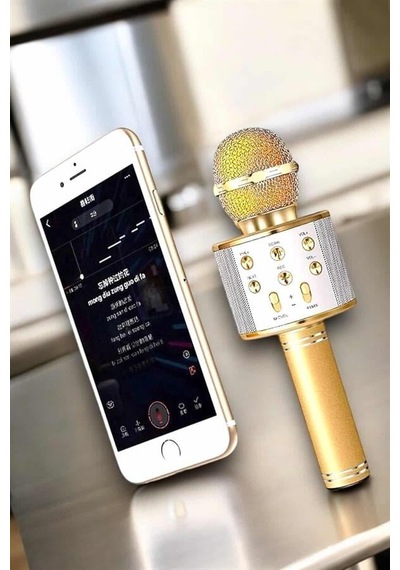 Şarjlı Ve Uzun Pil Ömürlü Karaoke Mikrofon Usb Bellek Destekli Profesyonel Ses Mh-hs8470-4988