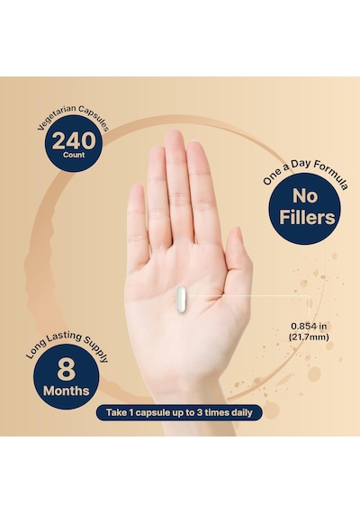 Naturebell Pure Magnesium Glycinate 500mg, 240 Veggie Capsules Orijinal Usa Menşeii Dmmedicineden