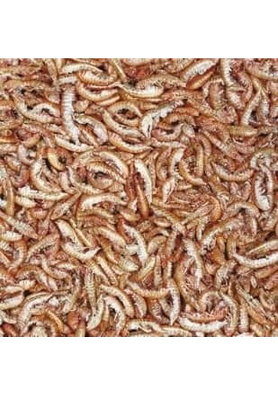 Tropical Gammarus - Karides 50 Gr