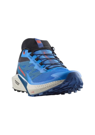 Salomon Sense Rıde 5 5800 Çok Renkli