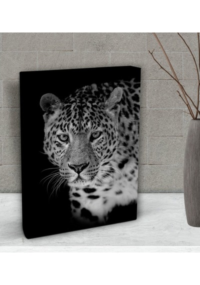 Bk Gift Leopar Tasarımlı Dekoratif Mini Kanvas Tablo 15X20Cm-1 (506660915)