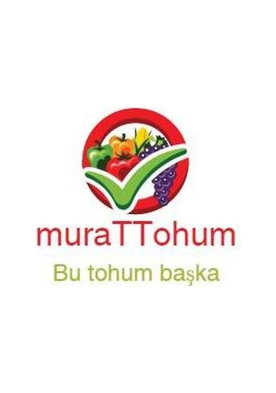 Bezelye Domates Tohumu 10 Adet Tohum
