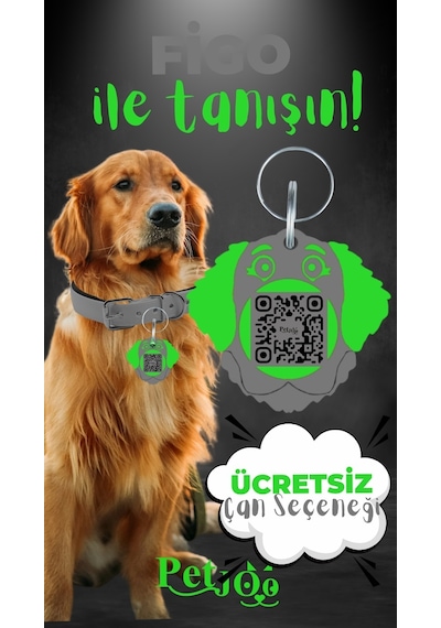 Petjoo 27.Figo Yeşil-Gri Qr'lı Köpek Künyesi