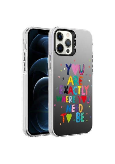 Apple Uyumlu iPhone 12 Pro Kılıf Desenli Zore Silver Sert Kapak You