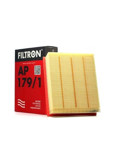 Filtron Ap179/1 Hava Filtresi