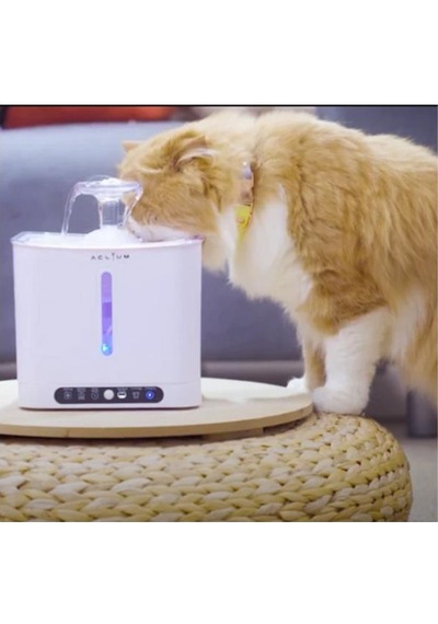 Aclıum Sensörlü Kedi Su Sebili