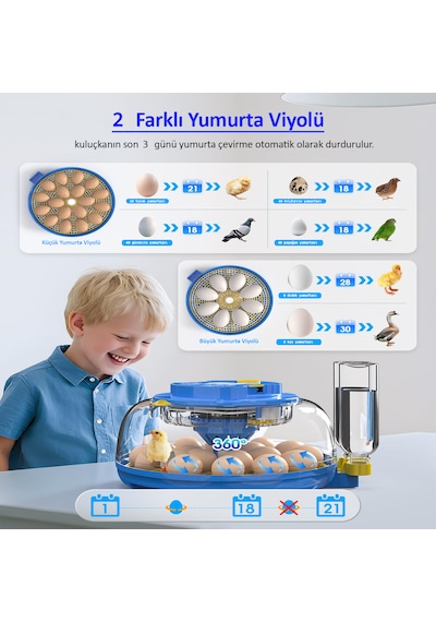 Altın Kuluçka-wonegg 18'li Tam Otomatik Kuluçka Makinesi