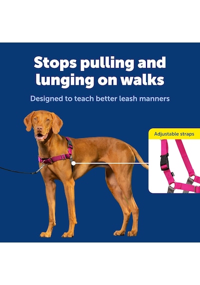 Easy Walk No-pull Köpek Göğüs Tasması, Çekmeyi Önlemeye Yardımcı, Kontrolü Ele Alın Ve Tasmayla Ahudududu/gri