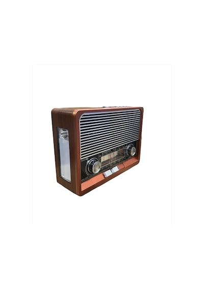 Everton RT-306 Nostajik Görünümlü Müzik Çalar