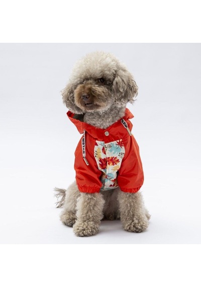 Pawstar Ottawa Yağmurluk Küçük Ve Orta Irk