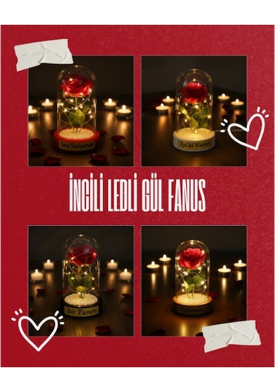İncili Ledli Gül Fanus Çok Renkli
