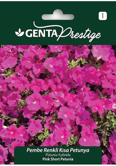 Fırba Pembe Renkli Kısa Petunya Çiçeği Tohumu