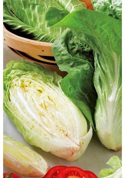 Sugar Loaf Endive Tohumu Hindiba