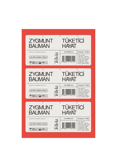 Tüketici Hayat - Ekonomi Ve Toplum Üzerine Derinlemesine Analiz