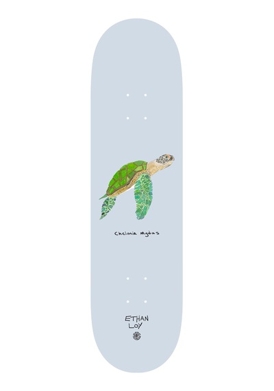 Element Element Endangered Ethan Loy Unisex Skateboard Deck Ast Çok Renkli