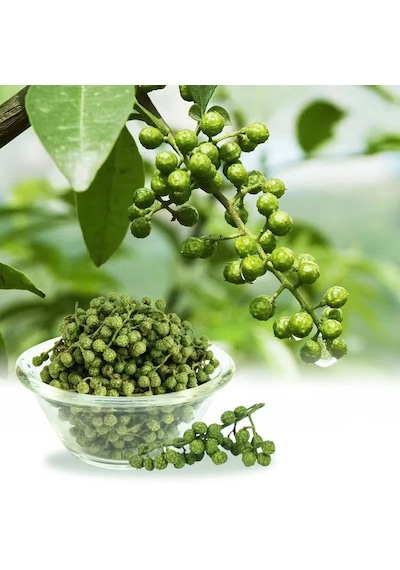 Yuandong Yeşil Sichuan Biberi Zanthoxylum 100 Gr Çin Mutfağı Baharatı Aromatik Tane Biber Sichuan Pepper