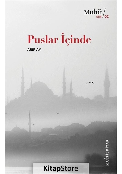 Puslar İçinde / Arif Ay