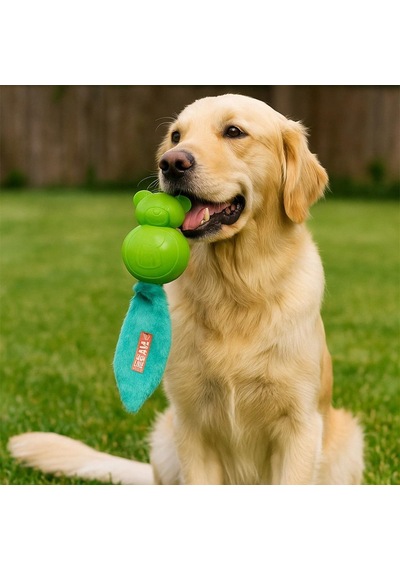 M-pets Sesli Teddy Kauçuk Köpek Oyuncağı 30cm Yeşil