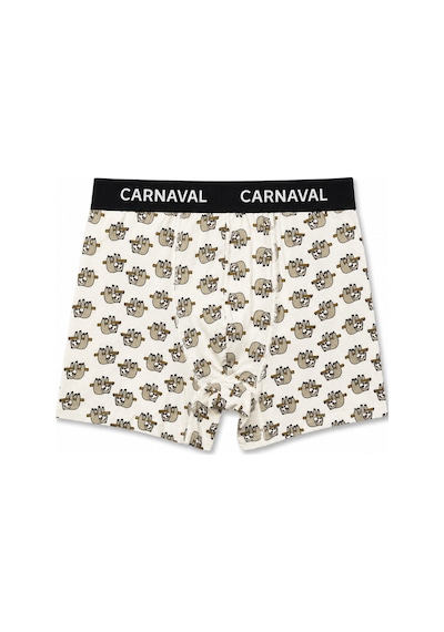 Carnaval Socks Carnaval Lazy Friends Erkek Boxer 3 Lü Set Çoklu