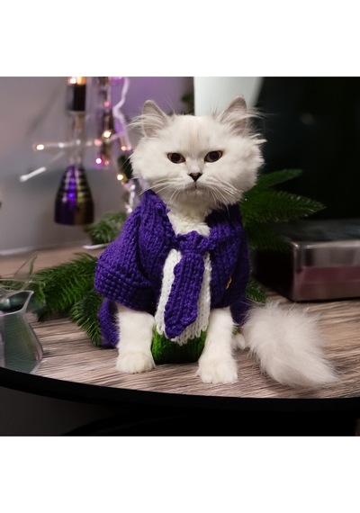 Kedi Ve Köpek İçin Mor Joker Kostümü