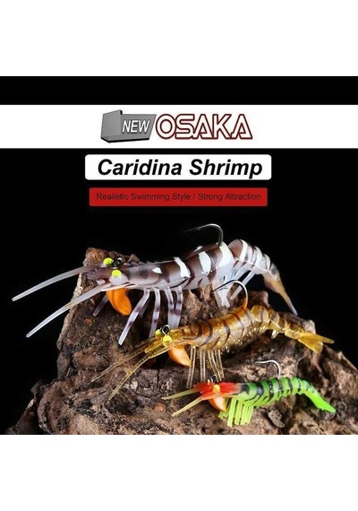 Naniwaosakashi Caridina Shrimp Tpe Yumuşak Karides 5cm 3,5gr
