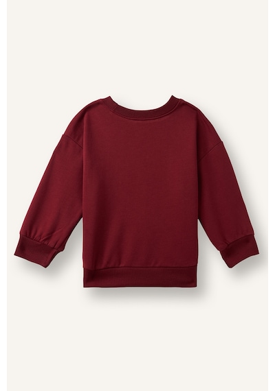 Defacto Oversize Hayvan Baskılı Bisiklet Yaka İçi Yumuşak Tüylü Sweatshirt Erkek Bebek I3807a526wnbr281 Bordo-br281