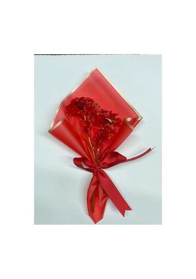 Hediye Paketli Sonsuzluk Gülü Sevgililer,anneler,günü Yılbaşı Notlu Aşk Sevgililer Kırmızı - 682204978 Kırmızı