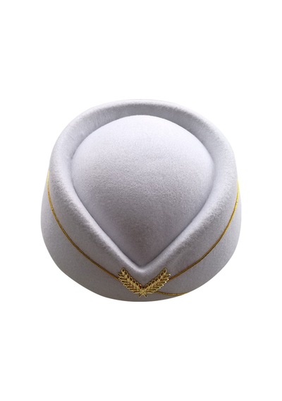 Dongxiaojie Sonbahar Kış Havayolu Hostess Cap Imitation Yün Tek Tip Uçak Hostes Cap Cosplay Sahnesi Kadın Bayanlar Kapağı Beige