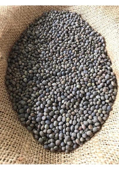 Fiğ Tohumu 10 KG Adi Fiğ İşlem Görmemiş Doğal