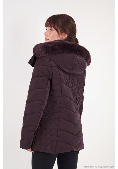 Lela Kapitoneli Slim Fit Çıkarılabilir Kapüşonlu Mont Kadın Mont 497mara Mürdüm