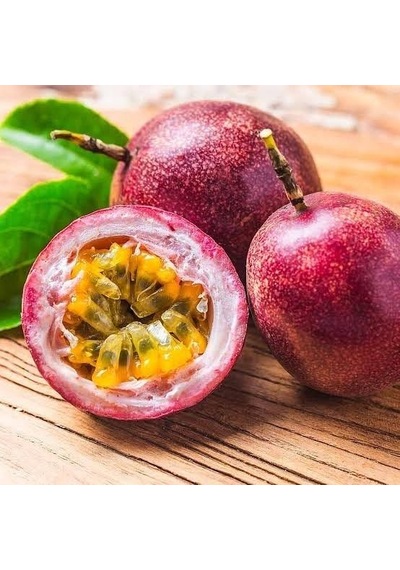 Aşılı. İri Taneli Mor Pasiflora Alp1071 . Saksıda