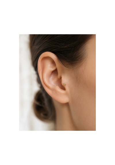 14 Ayar Altın Kartal Figürlü Tragus Piercing Küpe Diğer