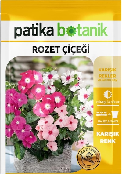 30 Adet Rozet Çiçeği Tohumu