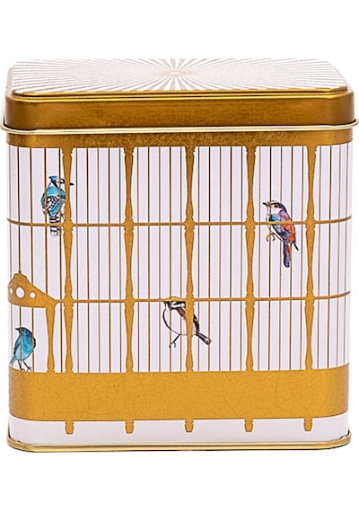 Bird Cage Desenli Dikdörtgen Metal Saklama Kabı 8 x 12 x 12 1 L Çok Renkli