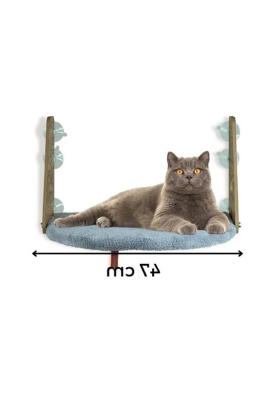Vantuzlu Cam Yatak Kedi Yatakları Gri Renk Konforlu Kullanım