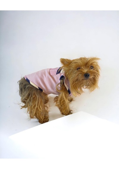 Light Purple Bb Atlet Köpek Kıyafeti Köpek Elbisesi