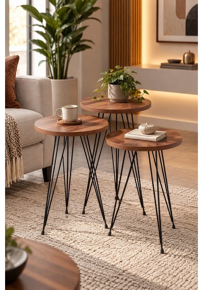 Sulorahome Zigon Sehpa Takımı Çam Desenli Kahverengi Atlantik Çam
