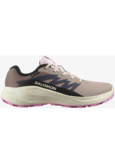 Salomon Alphaglıde Gore-tex Etherea Vanılla Ice Kadın Koşu/spor Ayakkabısı Bej