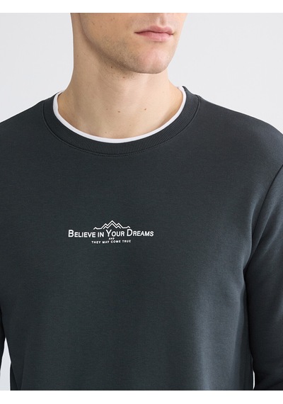 Lcwaıkıkı Classic Antrasit Bisiklet Yaka Baskılı Erkek Sweatshirt