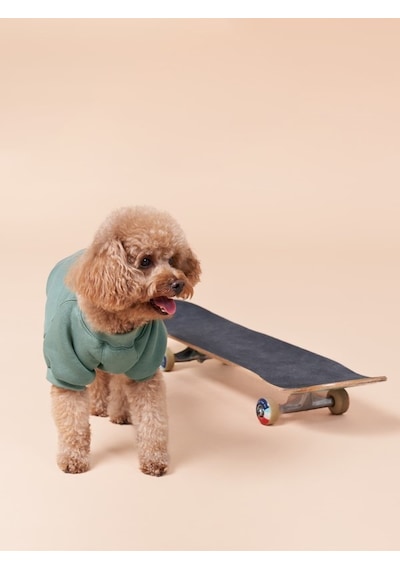 Duckdash Küçük ve Orta Irk Köpekler İçin Köpek Sweatshirt