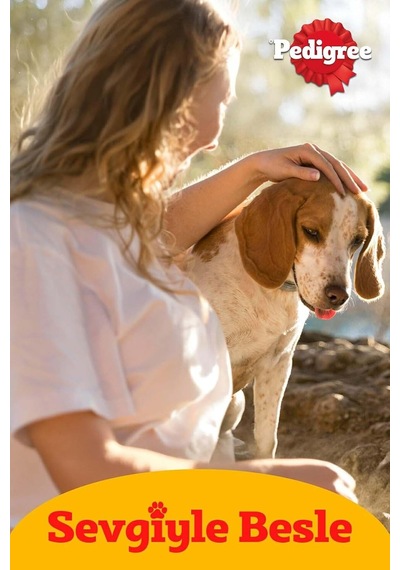 Köpekler İçin Tavuklu Konserve Yaş Mama 400 G