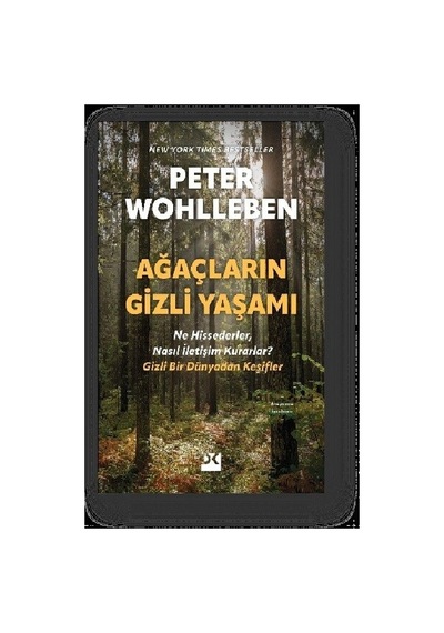 Ağaçların Gizli Yaşamı: Doğanın İletişim Dili